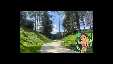 секретарша video