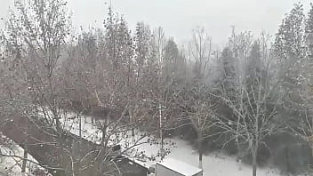 верификация sex