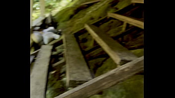 порно звезда sex