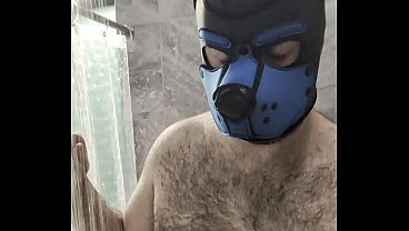 Gay Fucking sex