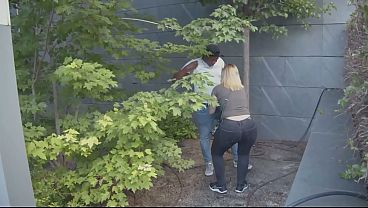межвидовый секс sex