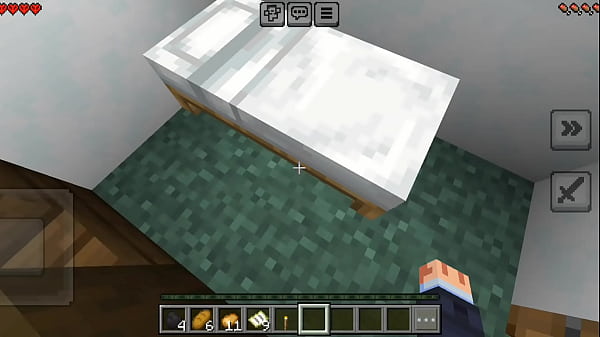 Minecraft sex
