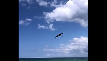 Spiaggia sex
