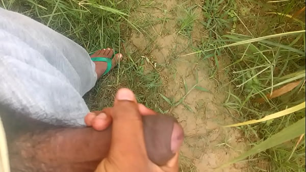 просит в жопу sex