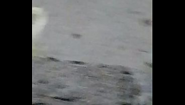 Sex Hay sex