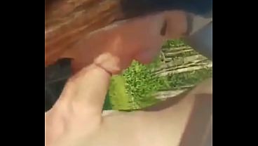 Wald sex