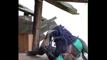 Behind The Scene sex