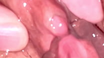 Cock Pussy Fucking Closeup sex