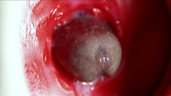 Orgasmo sex