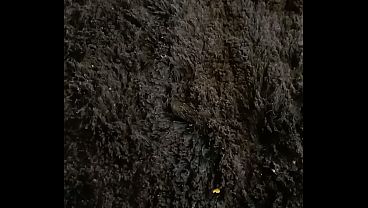 Video Di Verifica video