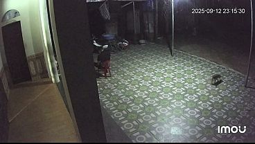 Video Verificacao video