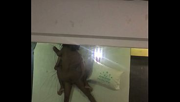 огромный член video