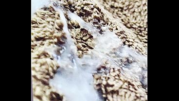 Video De Verificacion video