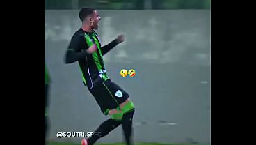 Video Verificacao video