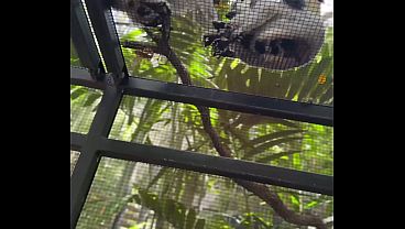 подростки video