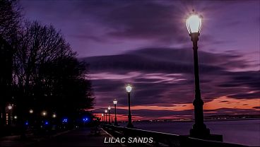 Arctic Monkeys video