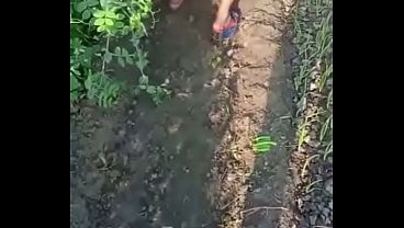 вед камера video