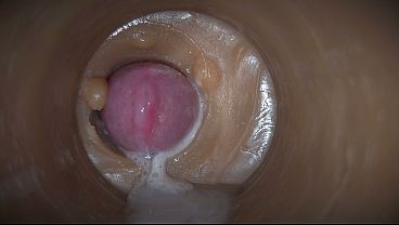 колготки sex