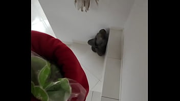 Sesso In Pubblico sex