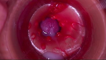 Creampie Pov sex