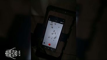 Phone sex