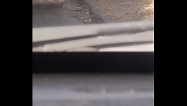 Safado sex