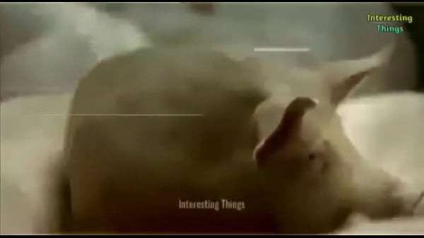 переодевание sex