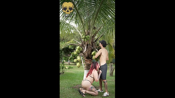 A Mais sex