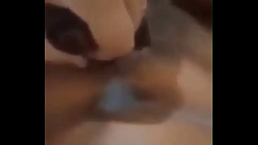 Conta sex