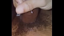 Nut sex