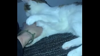 Ověřovaci Video video