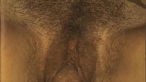 Hairy Pussy Fucking sex