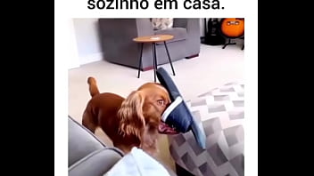 Delicious Delicious sex