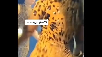 فيديو التحقق video