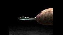 Animation 3d sex