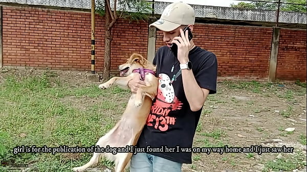 Cachorro sex
