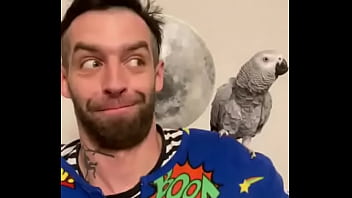 Ověřovaci Video video