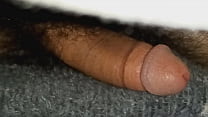 Black Cock sex