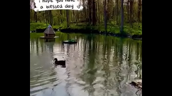 Video Verification sex