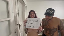 Snake sex