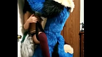 Furry Sex sex