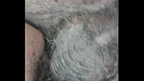 Black Hairy Pussy sex