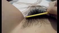 Pelos sex