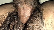 Hairy Pussy Fucking sex