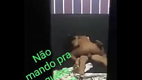 Puta Brasileira sex