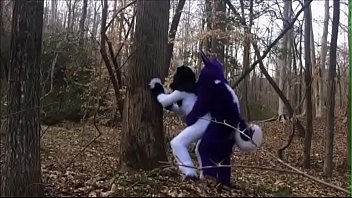 Furry sex